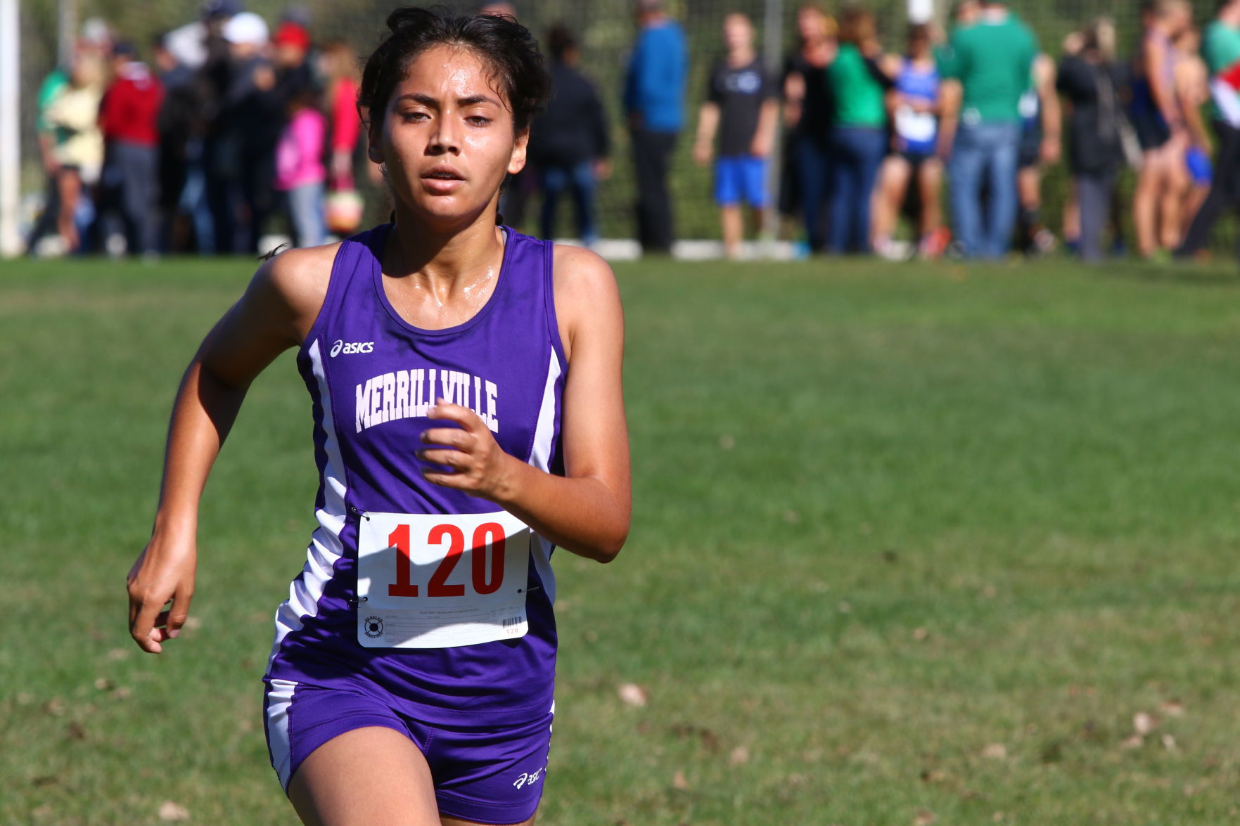 Gallery: Duneland Athletic Conference cross country meet